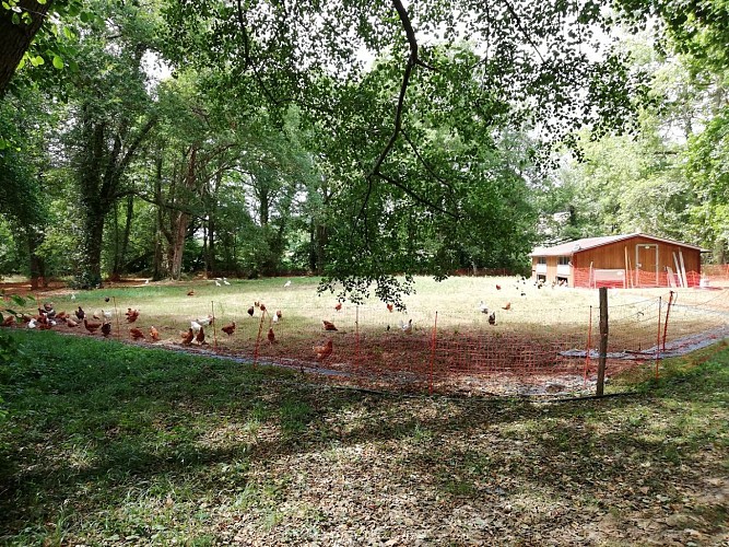Ferme des Luys en Béarn Serres-Castet - Tourisme nord béarn cph SMT NB