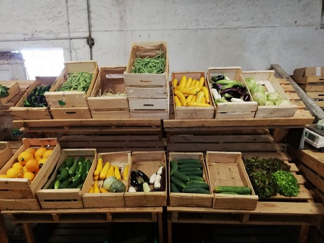 Ferme des Luys Serres-Castet - tourisme nord béarn cph smt nb