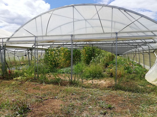 ferme des luys en Béarn Serres castet Tourisme Nord Béarn cph SMT NB