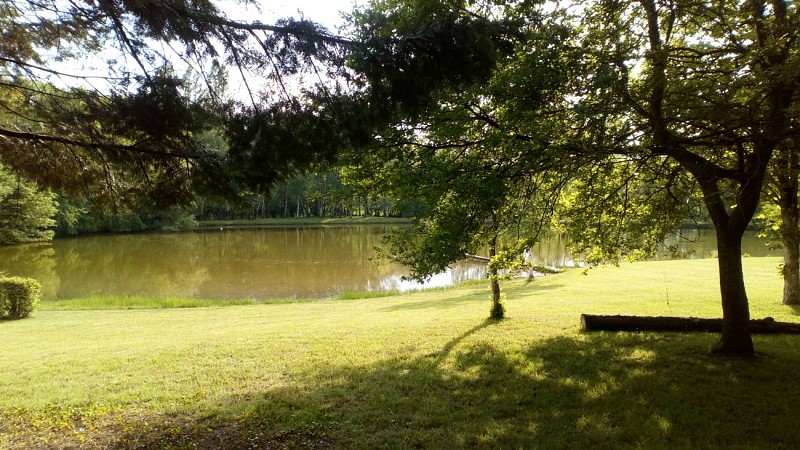 Gîte-des-étangs-de-beaulieu-au-Plessis-Dorin