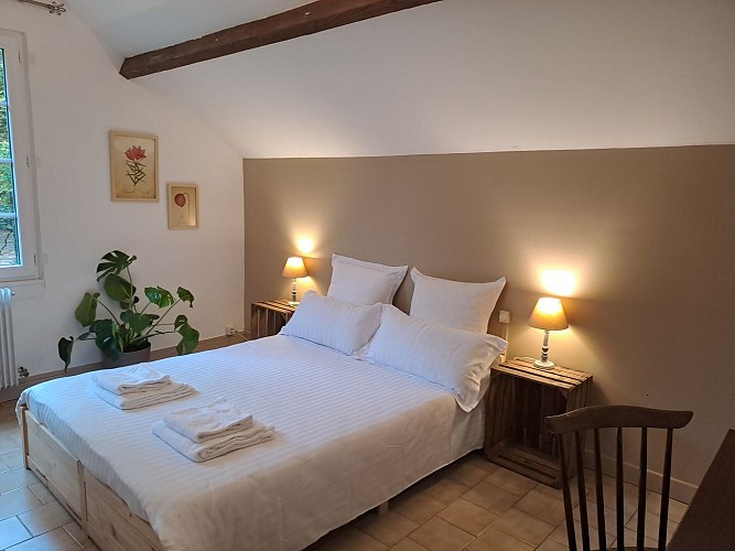 Gîte des étangs de Beaulieu - Domaine familial / Gîte marronnier