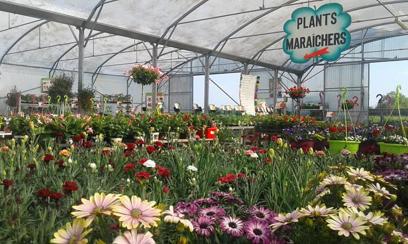 CLAUDE BOISNEAU - ANGRIE JARDIN