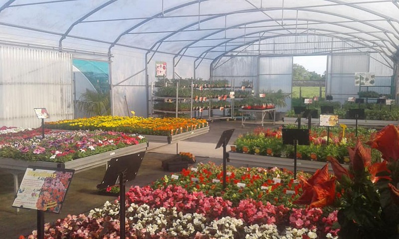 CLAUDE BOISNEAU - ANGRIE JARDIN