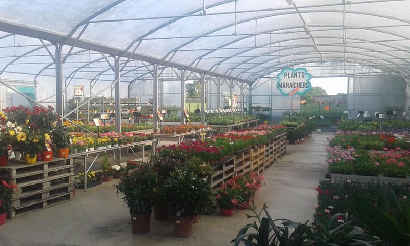 CLAUDE BOISNEAU - ANGRIE JARDIN