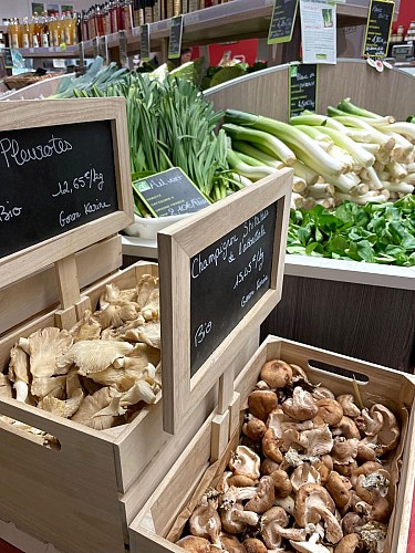 circuit court Saint Maixent