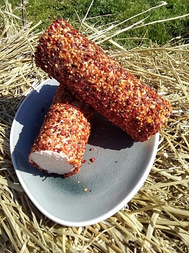 170798812_2897323667208478_3572228241693045481_n