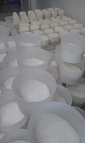 127243509_2799408177000028_6224491385224322389_n