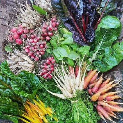 2021-12-29-dernier-panier-300x300