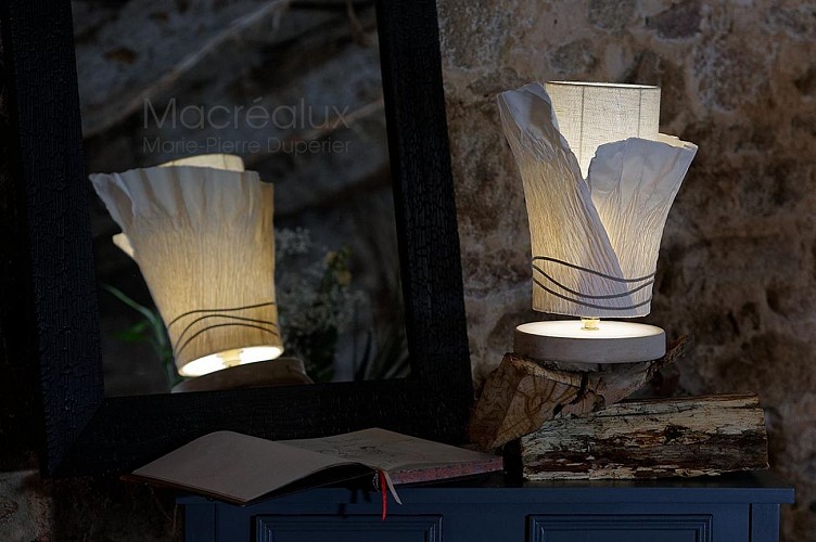 Macréalux web (3) ©Pascal Rabot