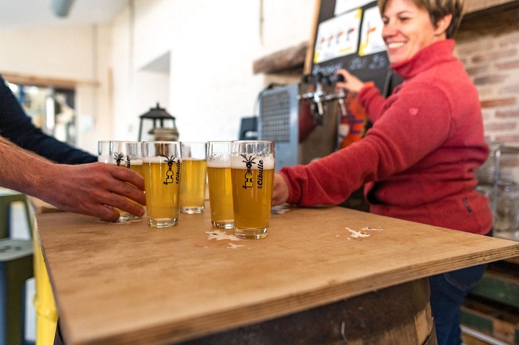 Original Vélo Tour - Journée découverte sur les traces des Moines bâtisseurs - Marais Poitevin (1)