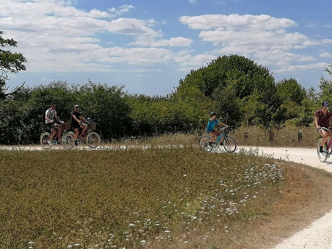 Original Vélo Tour - Journée découverte sur les traces du Baudet (18)