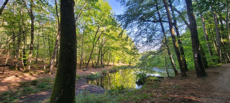 Terra aventura (1) © Communauté de communes du Val de Vienne - E.Sallet copie