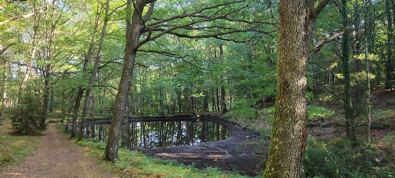 Terra aventura (2) © Communauté de communes du Val de Vienne - E.Sallet copie