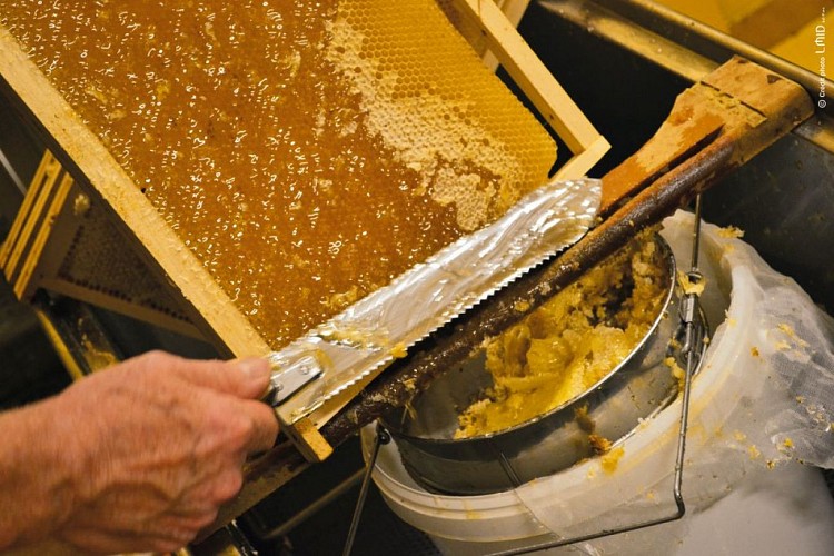 les ruchers de la valentine coussac bonneval_3