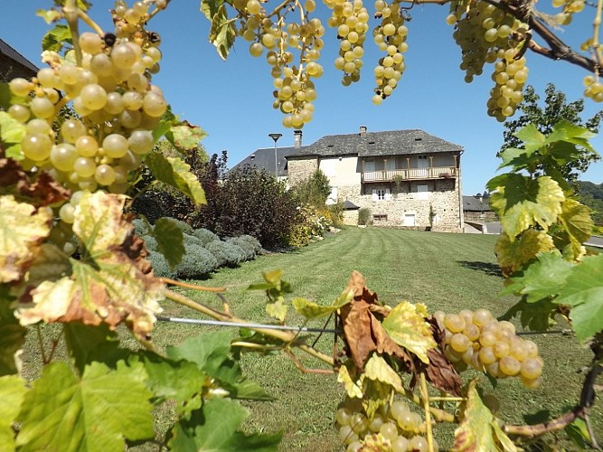 Saint-Hilaire-Peyroux