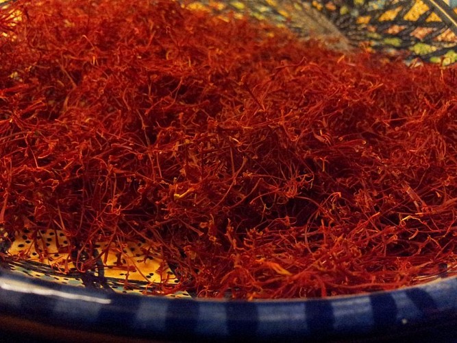 Safran de Creuse- M. Rodier_2