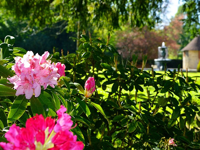 parc-du-chateau-de-nexon©Hélène_B(2)