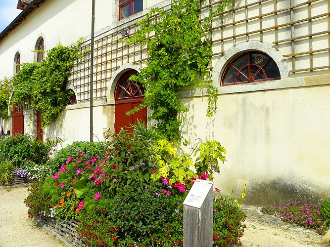 parc-du-chateau-de-nexon©Hélène_B(5)