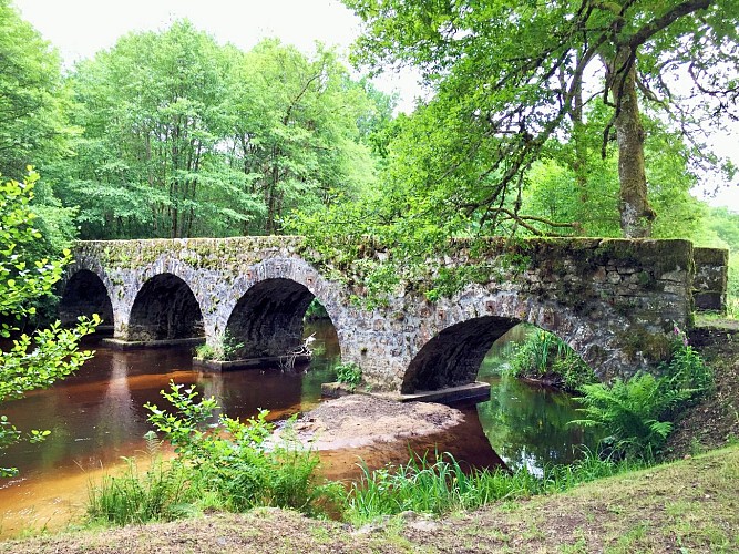 Le Pont de Claveyrolas, à Nedde © OT Portes de Vassivière, SP (11)