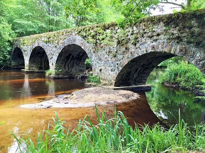 Pont de Claveyrolas, Nedde