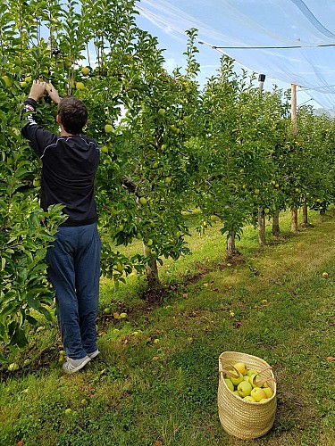 Les vergers du soleil Limousin