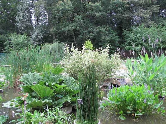 Jardin du parc de Feeriland