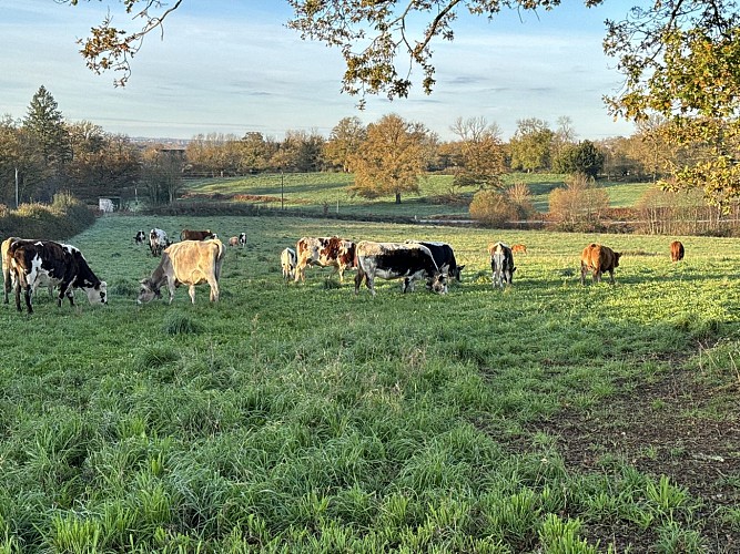 Ferme de la vallée des vaches