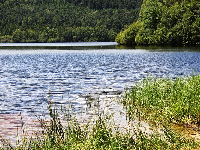 Lac de Lavaud Gelade_1