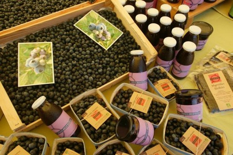 Les Vergers de Veix_3