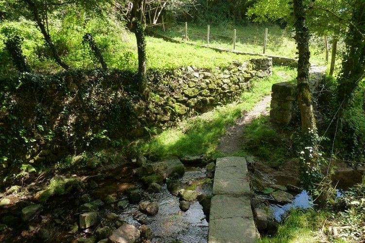 Vallée du Rimaury et murets de pierres sèches