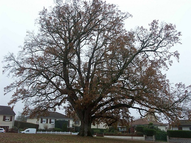 Crédit photo: Mairie de Bosmie l'Aiguille_1