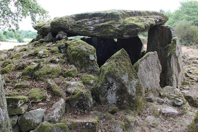 Dolmen des Goudours 