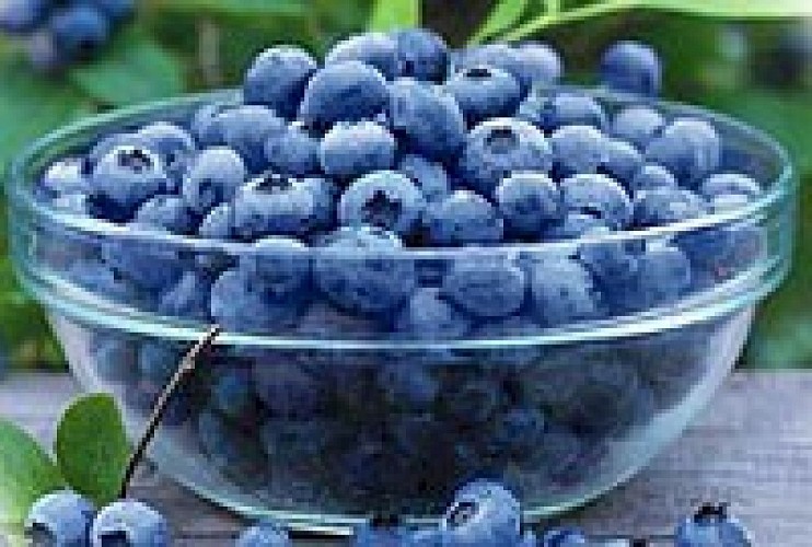 Ferme des Petits Fruits_1