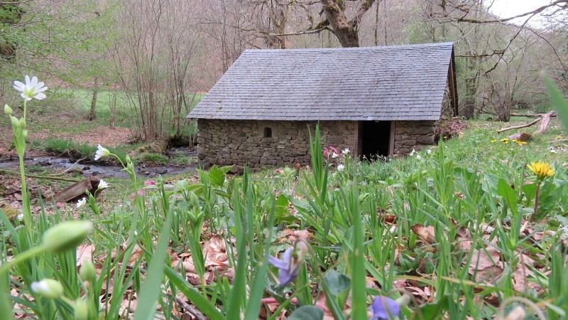 Moulin de Louzelergue