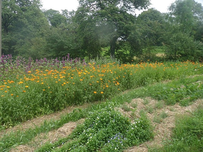 GAEC Un petit bout de Nature Le Verger de la Lune et les Fées Cueillettes