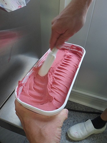 GAEC Un petit bout de Nature Le Verger de la Lune et les Fées Cueillettes