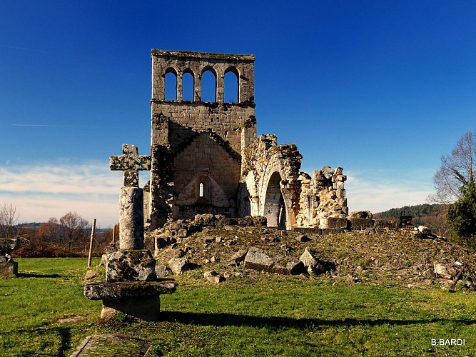 Les Ruines de l'Eglise du Vieux Bourg