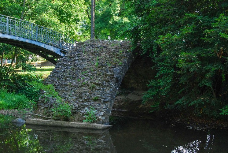 Pont médiéval dit 'Pont Malassert'