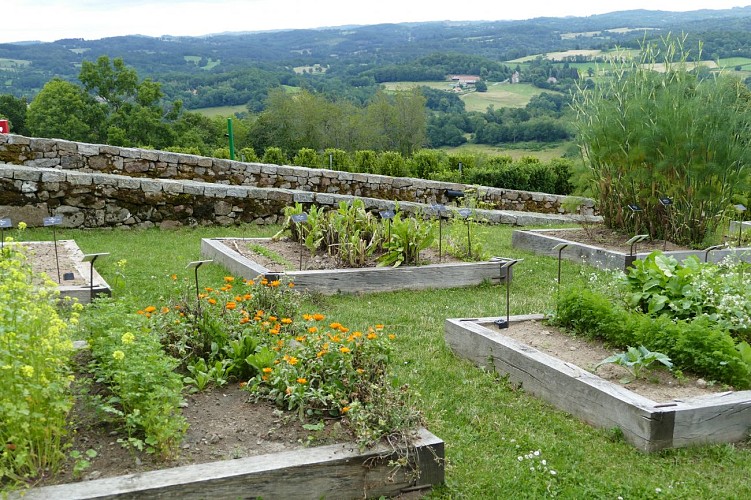 SAINT-GEORGES-NIGREMONT - Jardins carolingiens en terrasse 