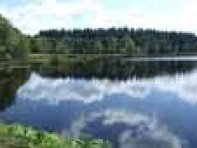 Tourbière de la route élevée