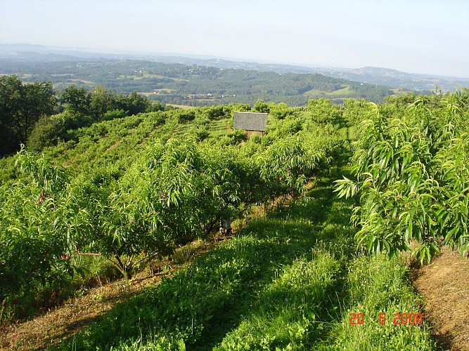 Les Vergers de Meilhac_3