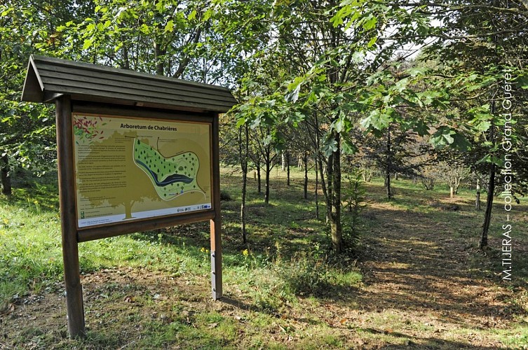 Arboretum de Chabrières