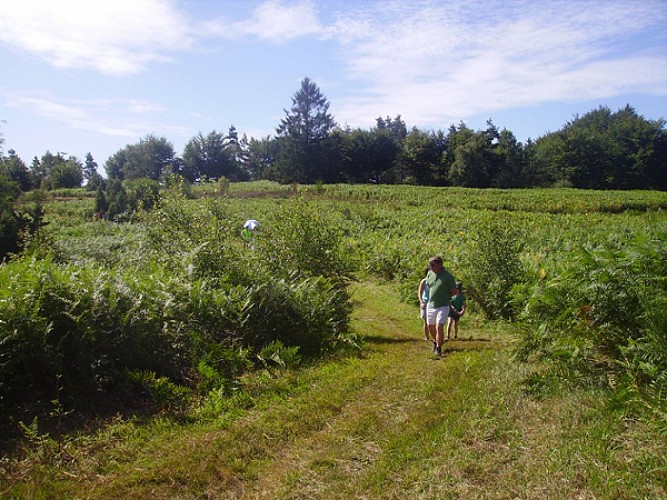 Arboretum du Massif des Agriers