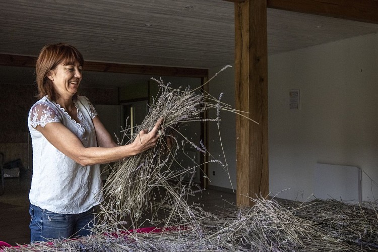 Le Verger de Vergnas