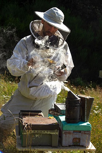 RAZES Apiculteur Fedon  (10)