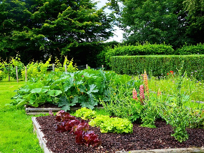 jardin-de-l-an-mil©Benoît_M(4)