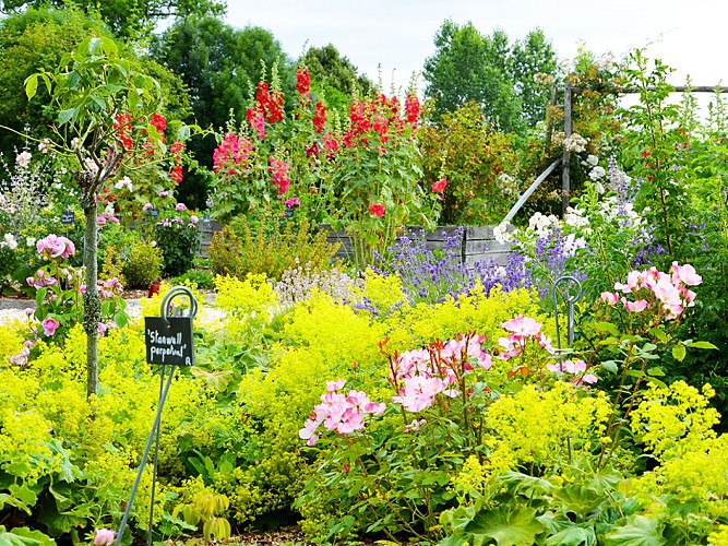 Jardin de l'An Mil - Rilhac-Lastours