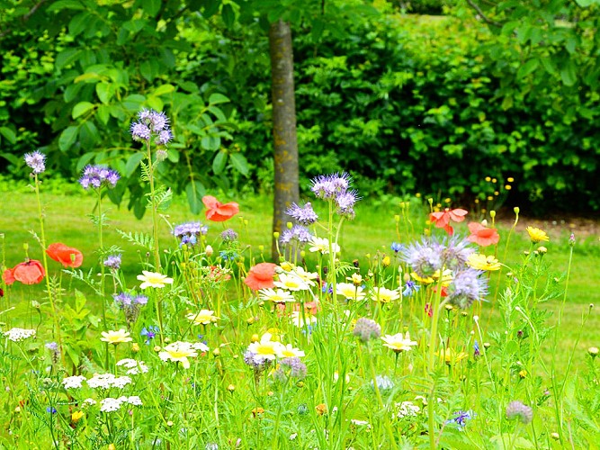 Jardin de l'An Mil - Rilhac-Lastours