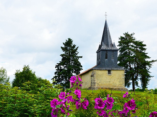 Jardin de l'An Mil - Rilhac-Lastours