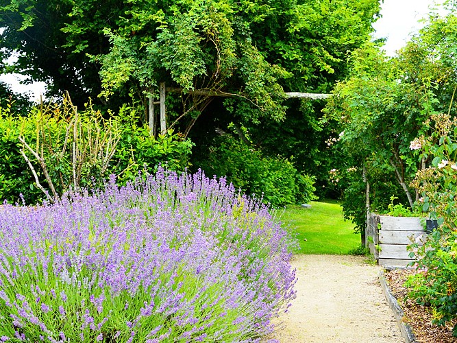 jardin-de-l-an-mil©Benoît_M(2)